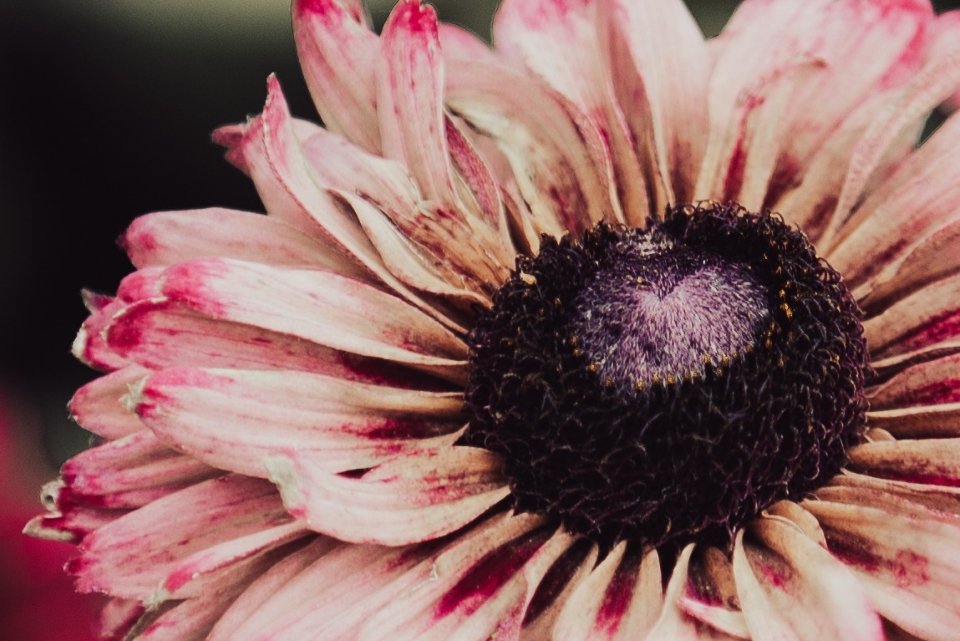 Giochi di Anacleto 2022: tornati alla normalità!